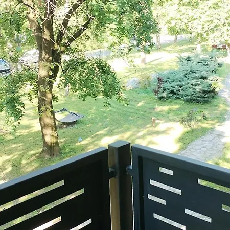 Park * Apatin